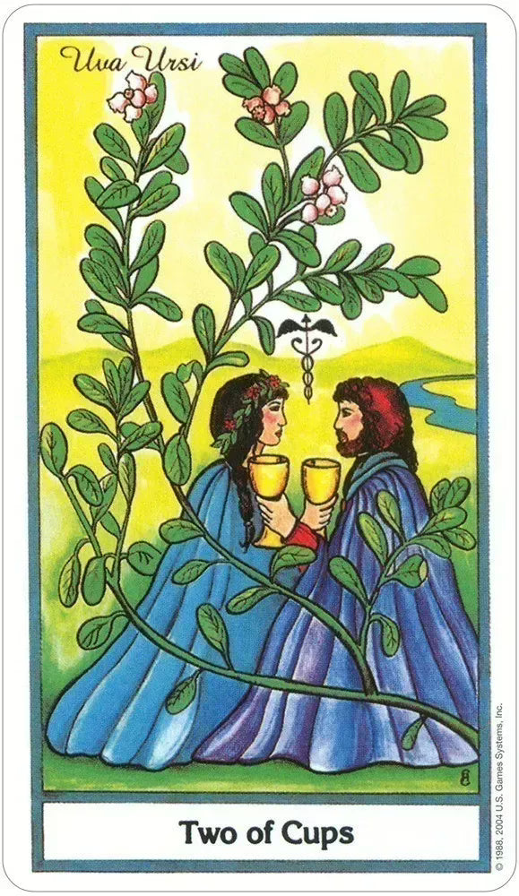 The Herbal Tarot Deck image 6